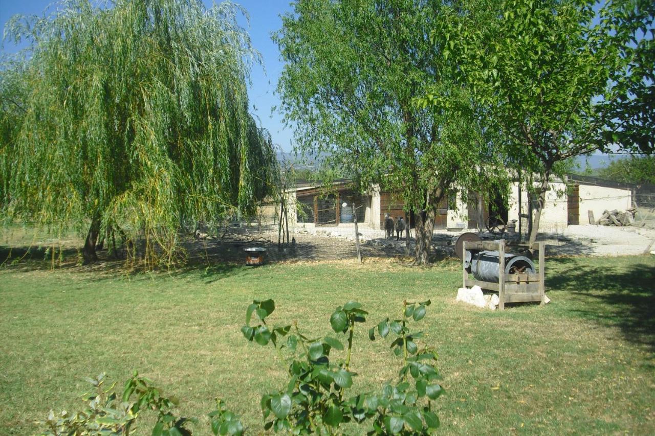 Lou Mas Li Pitchoun "Le Prunier " Appartement Gordes Buitenkant foto